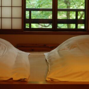 写真撮影オプション